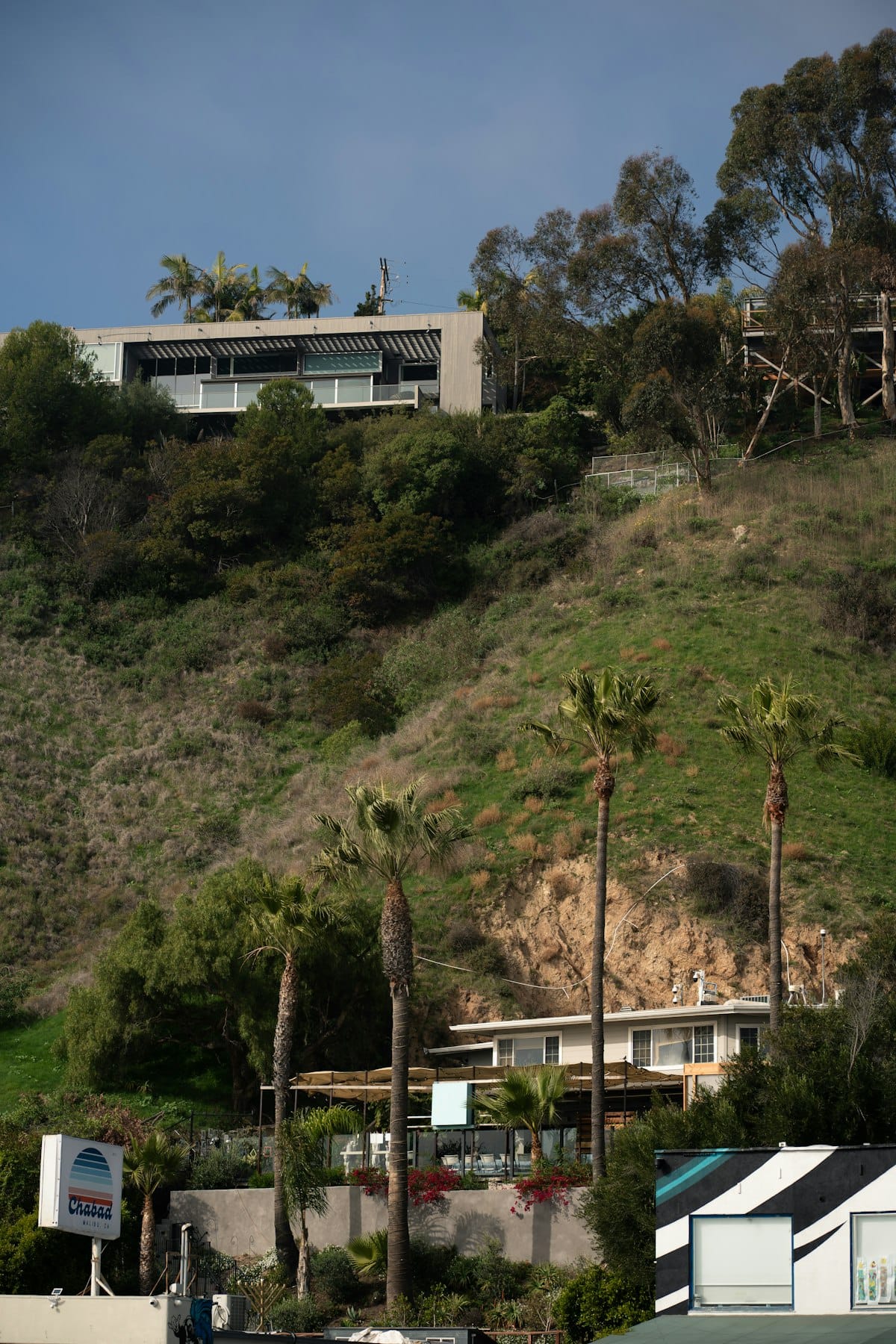 Modern Florida homes with palm trees and tropical landscaping