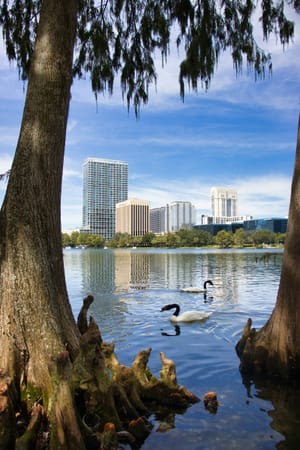 Building an Orlando Rental Portfolio: From SFH to Multifamily