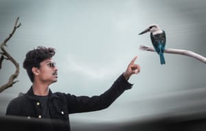 Pest Control in Florida Rentals: Landlord vs. Tenant Responsibility