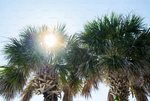 Seasonal Maintenance: Florida's Month-by-Month Property Care Guide
