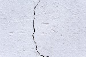 Tenant Damaged My Rental Property: Recovery Steps for Florida Landlords