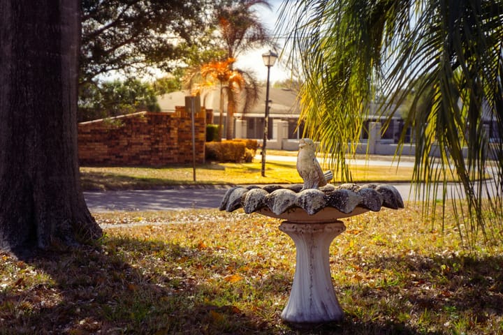 Short-Term vs. Long-Term Rentals in Orlando: ROI Comparison