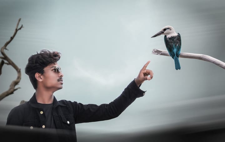 Pest Control in Florida Rentals: Landlord vs. Tenant Responsibility